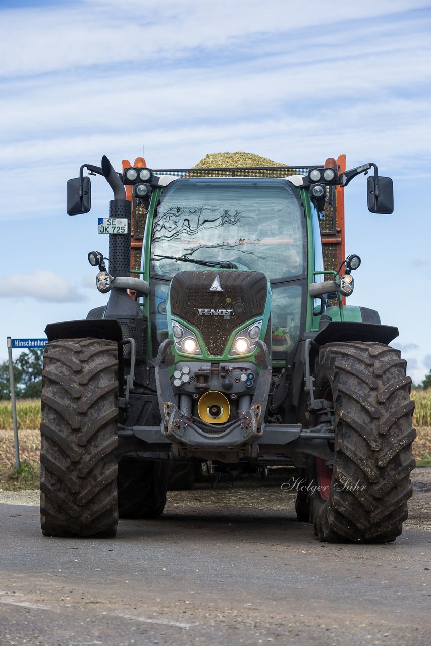 Bild 139 - Maisernte